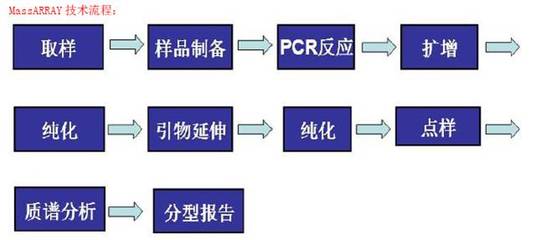 晶能生物技術(shù)(上海) Sequenom MassArray SNP分型技術(shù)服務(wù)報(bào)價詳解